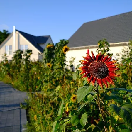 In Mit Sauna, Terrasse Und Garten Сasa de vacaciones Altwarp